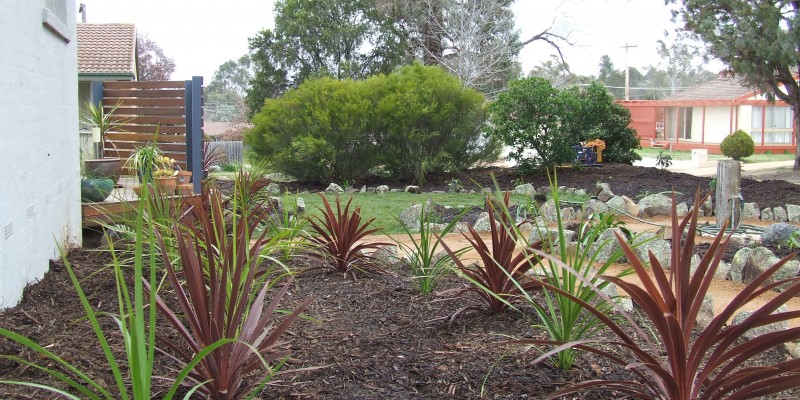 planting-5